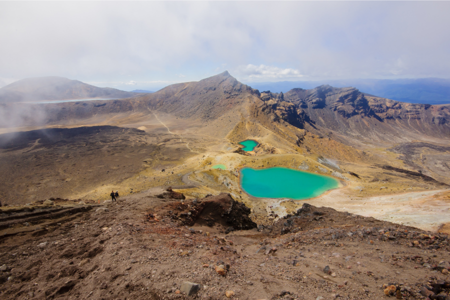 Tongariro National Park In New Zealand Flamingo Transworld
